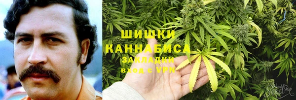 хмурый Медногорск