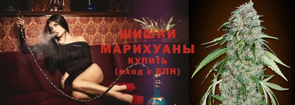 хмурый Медногорск