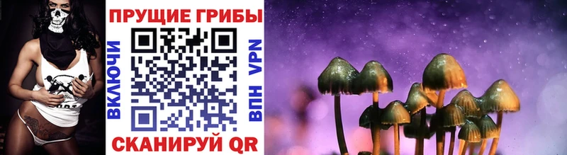где найти   Елизово  Галлюциногенные грибы MAGIC MUSHROOMS 
