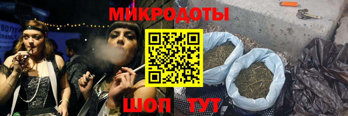 купить наркоту  Галлюциногенные грибы MAGIC MUSHROOMS  Вход с VPN  Елизово 