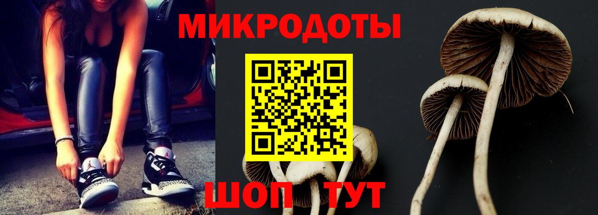 Галлюциногенные грибы Psilocybine cubensis  Елизово  Псилоцибиновые грибы Psilocybine cubensis 