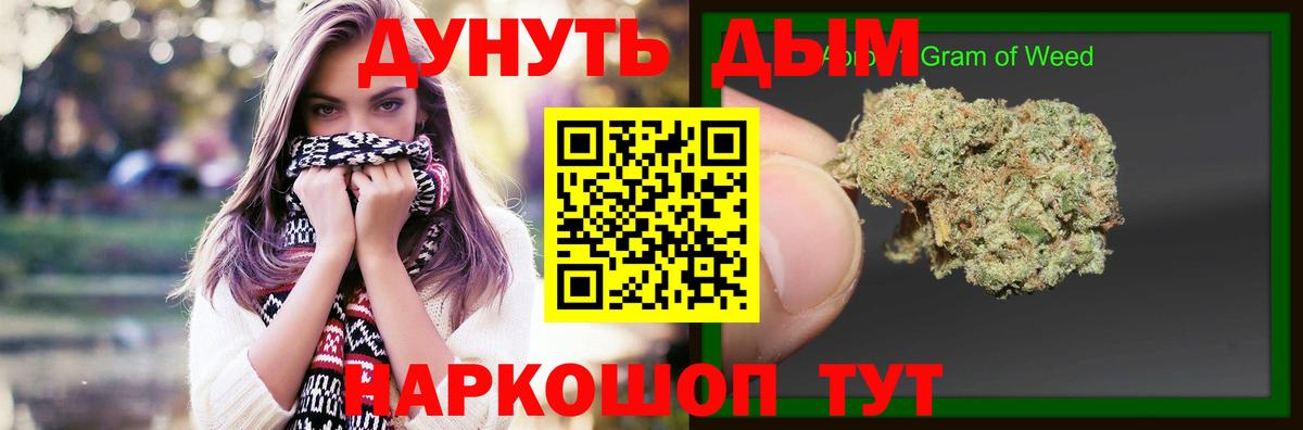 Конопля сатива Елизово